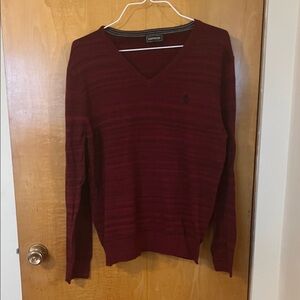 Express Men's Deep Red V-Neck Sweater